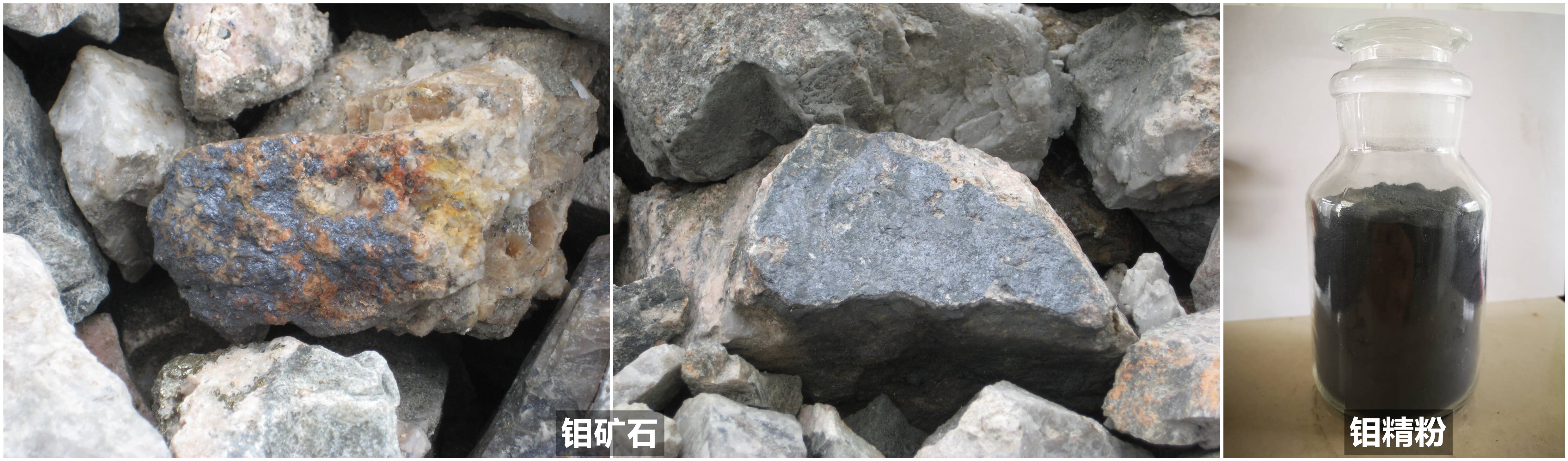 1601358609128574.jpg 钼矿石照片1_副本.jpg